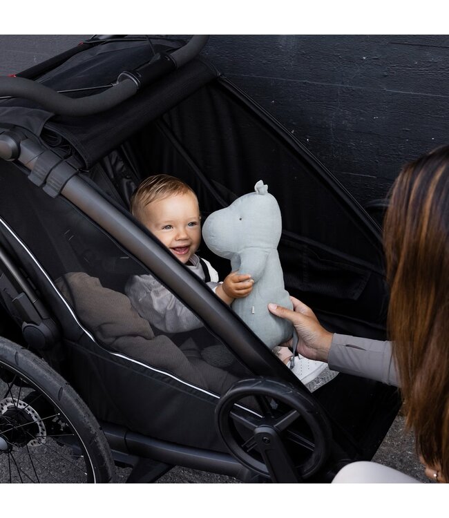 NOUVEAU Chariot Sport 1 Noir de Thule