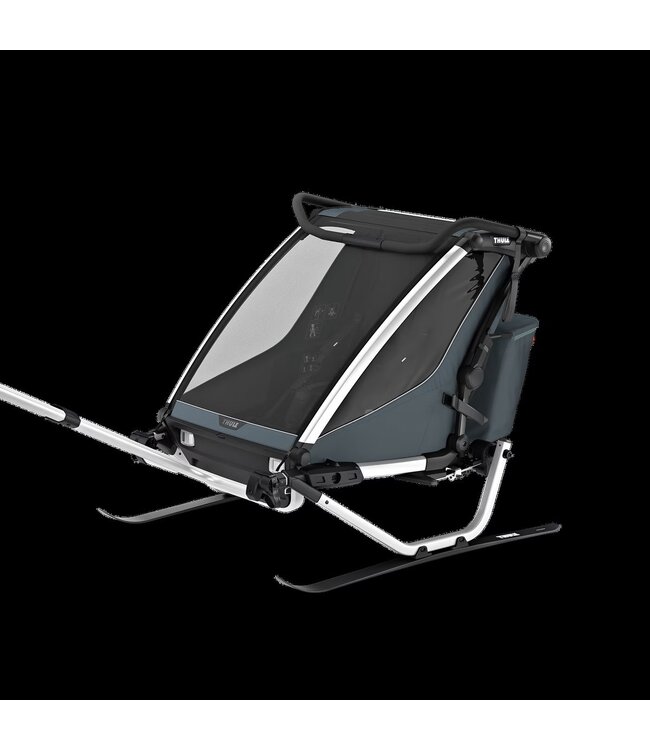 NOUVEAU Chariot Cross 2 de Thule