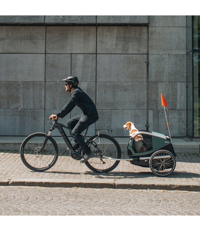 NEW Thule Bexey Hazy