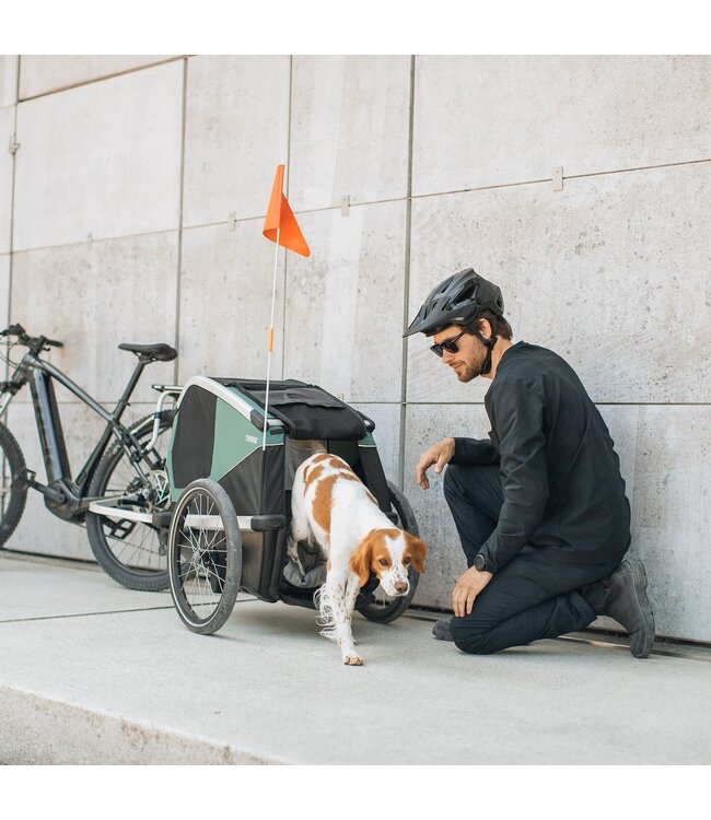 NOUVEAU Bexey Hazy de Thule