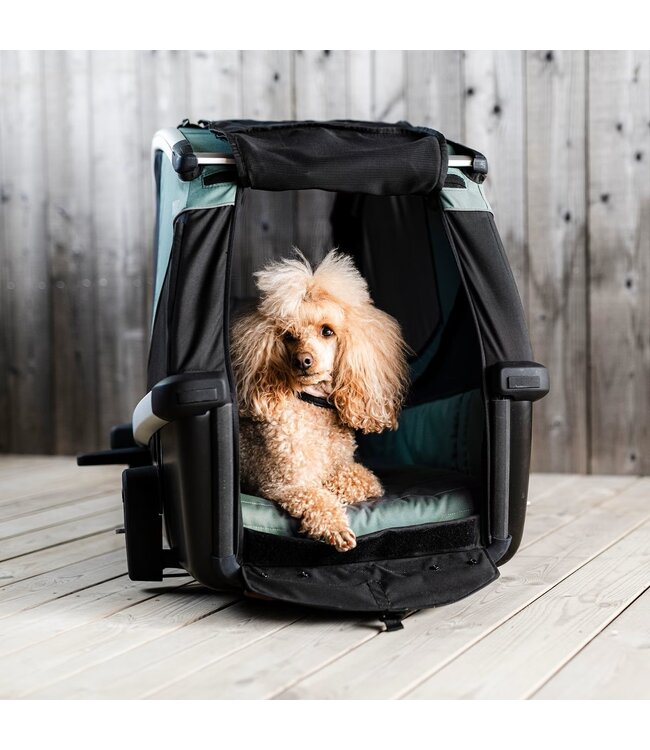 NOUVEAU Bexey Hazy de Thule