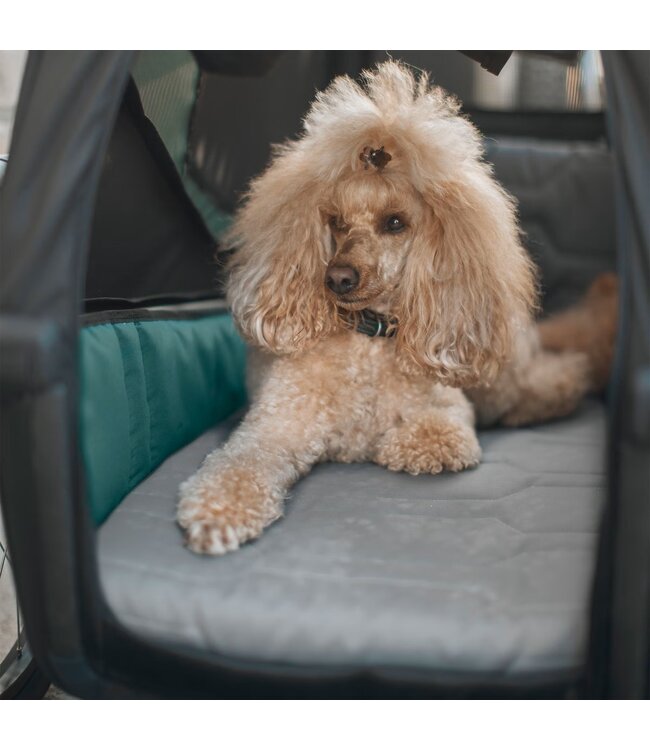 NEW Thule Bexey Dog Bed