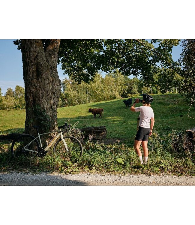 NEW Devinci E-Hatchet Tour Mahle X30