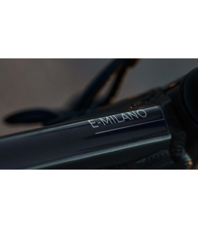 Devinci E-Milano HD Altus
