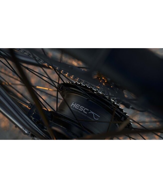 Devinci E-Milano HD Altus