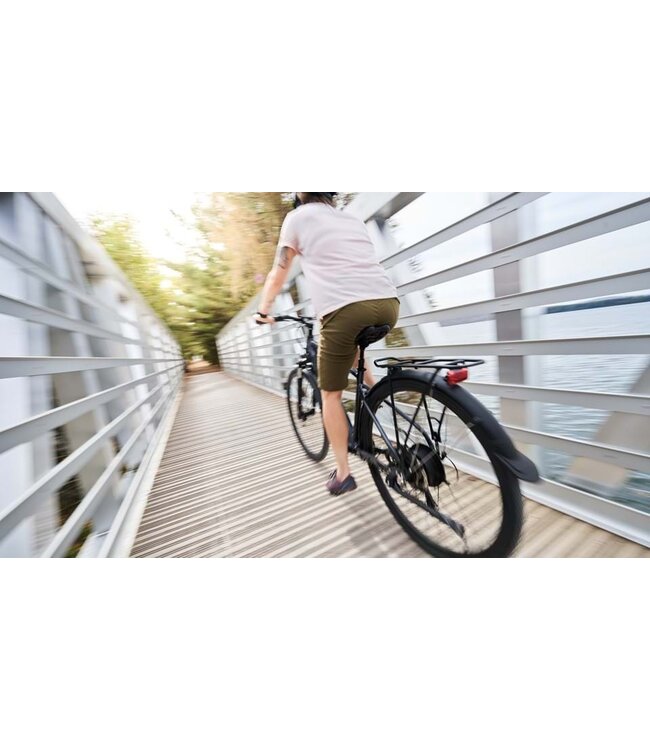 Devinci E-Milano HD Altus