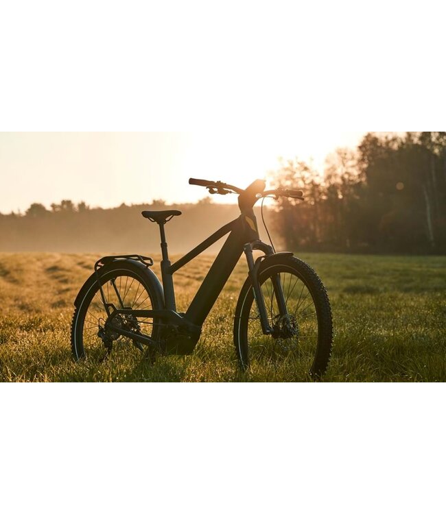 Devinci E-Cartier EP6 9s