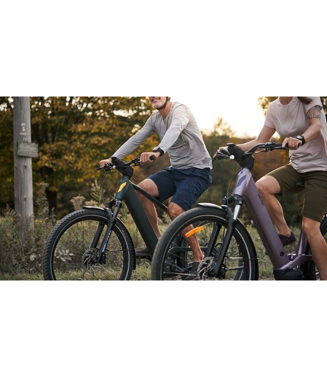 Devinci E-Cartier EP6 9s