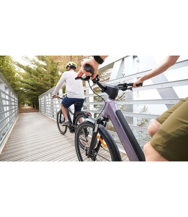 Devinci E-Cartier ST EP8 10s Morning Dew / Glosse