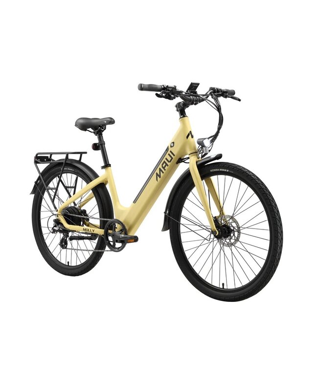 2025 MAUI Molly eBike