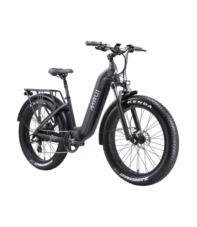 2025 Vélo électrique de neige Bronte de MAUI