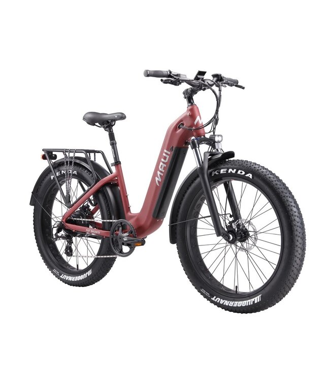 2025 Vélo électrique de neige Bronte de MAUI
