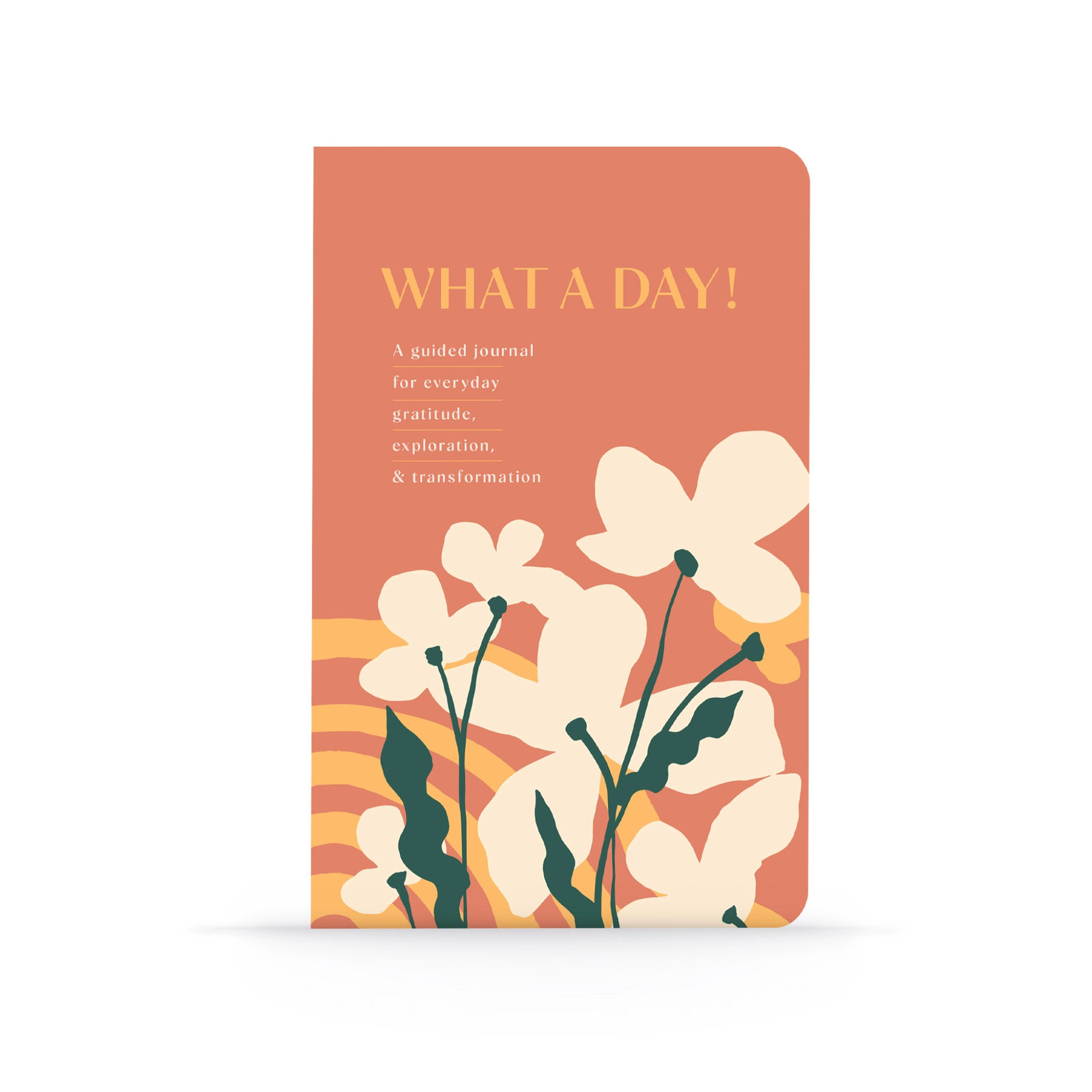 Notebook What A Day Guided Journal