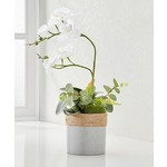 Artificial Plant - Potted Orchid