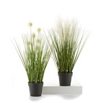 Artificial Plant - Potted Grass Asst