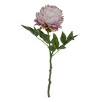 Artificial Flower - Pink & Green Peony Stem - 17"