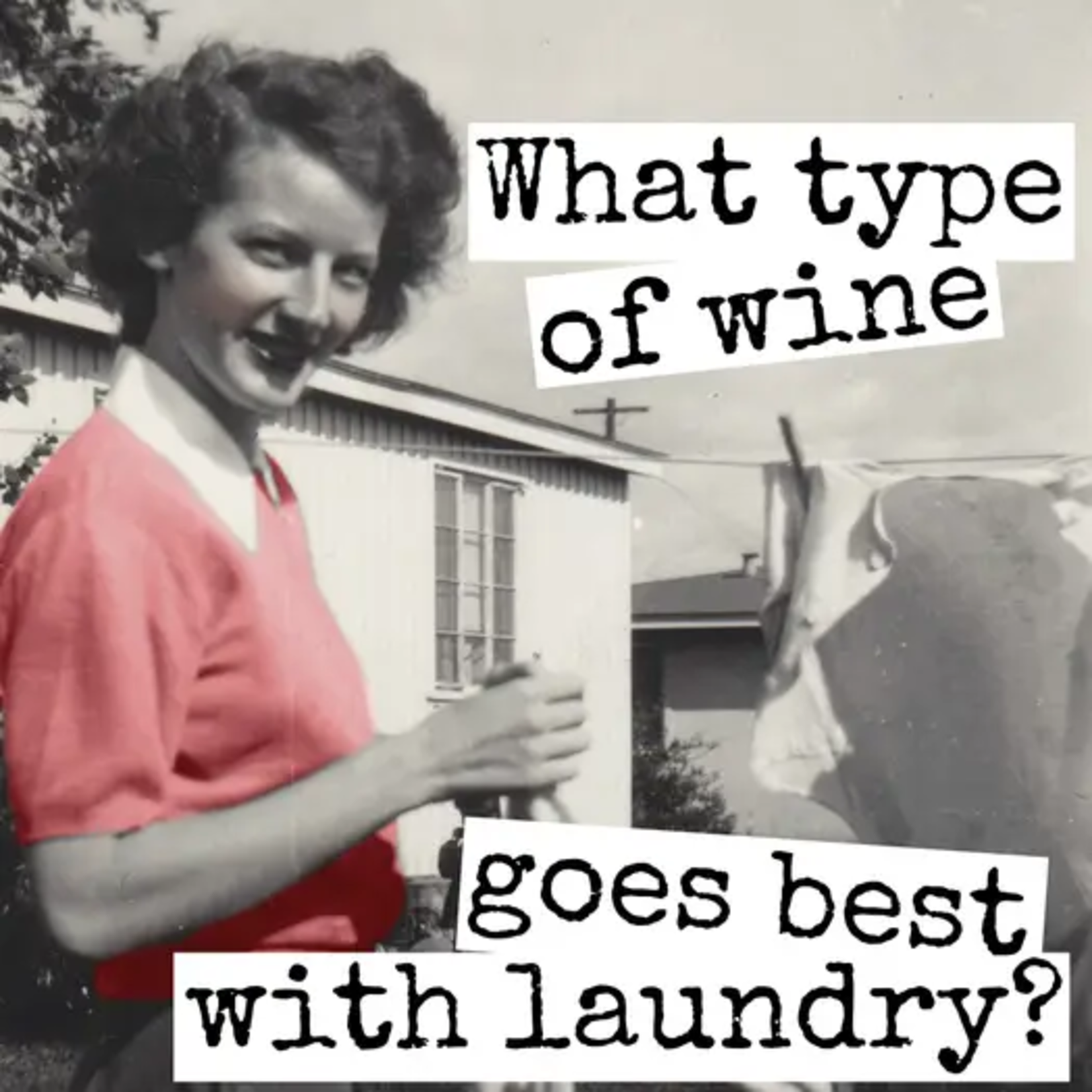 Magnet Wine with Laundry
