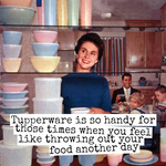 Magnet Tupperware is so Handy