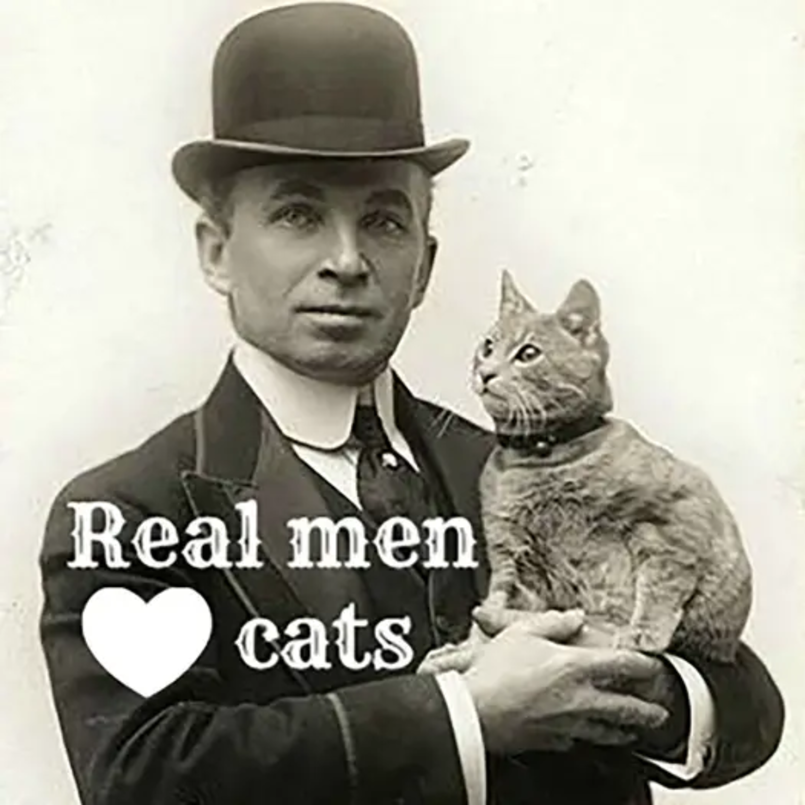 Magnet Real Men Love Cats