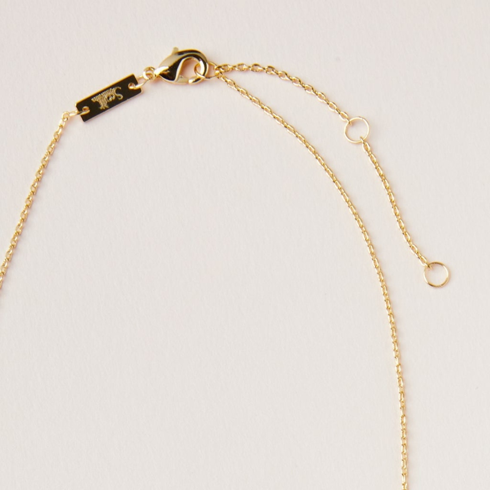 Gold & Labradorite Intention Charm Necklace