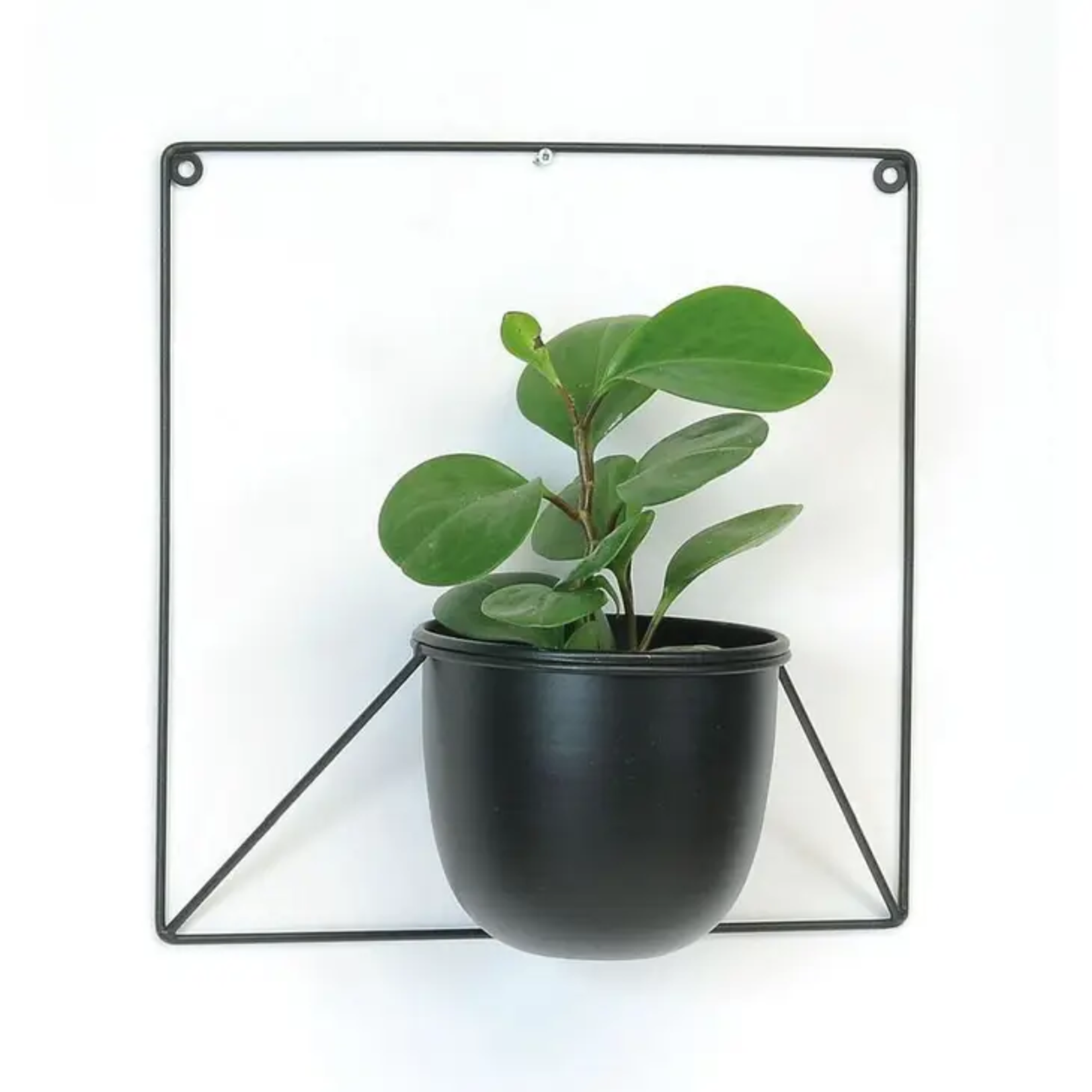 Black Metal Wall Hanging Planter