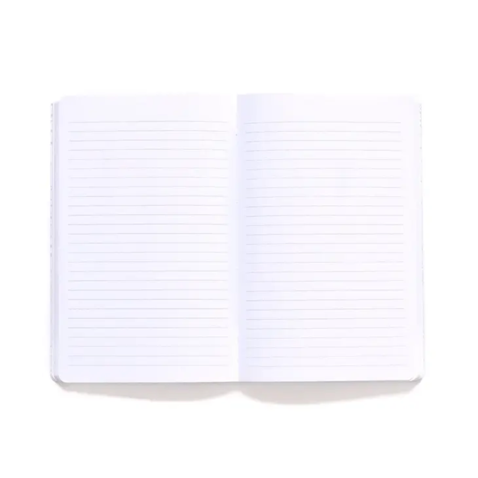 Foresight Notebook