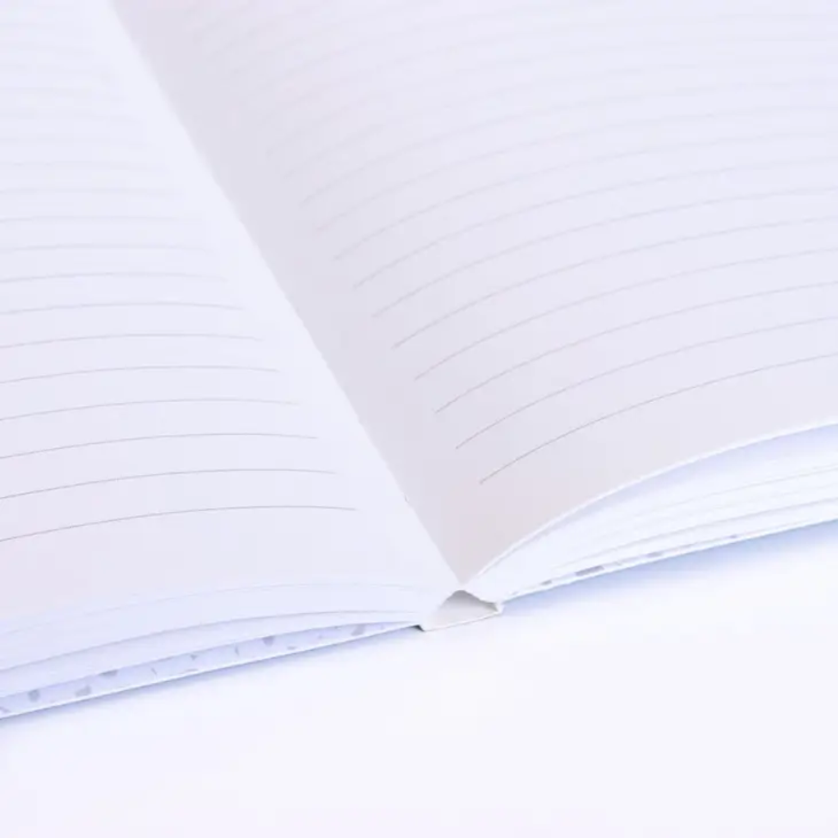 Foresight Notebook