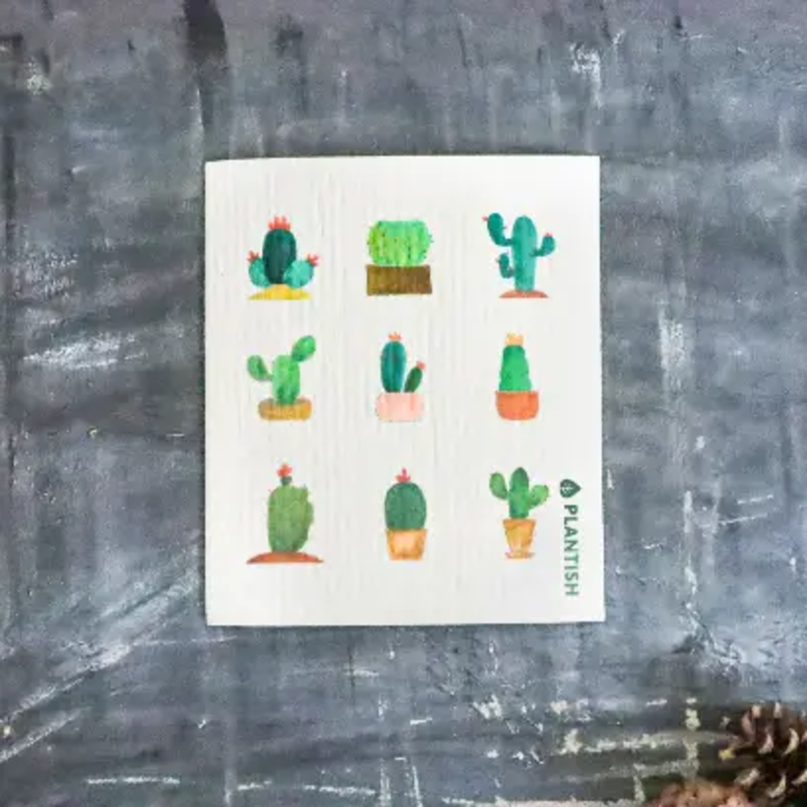 Swedish Dishcloth Cactus