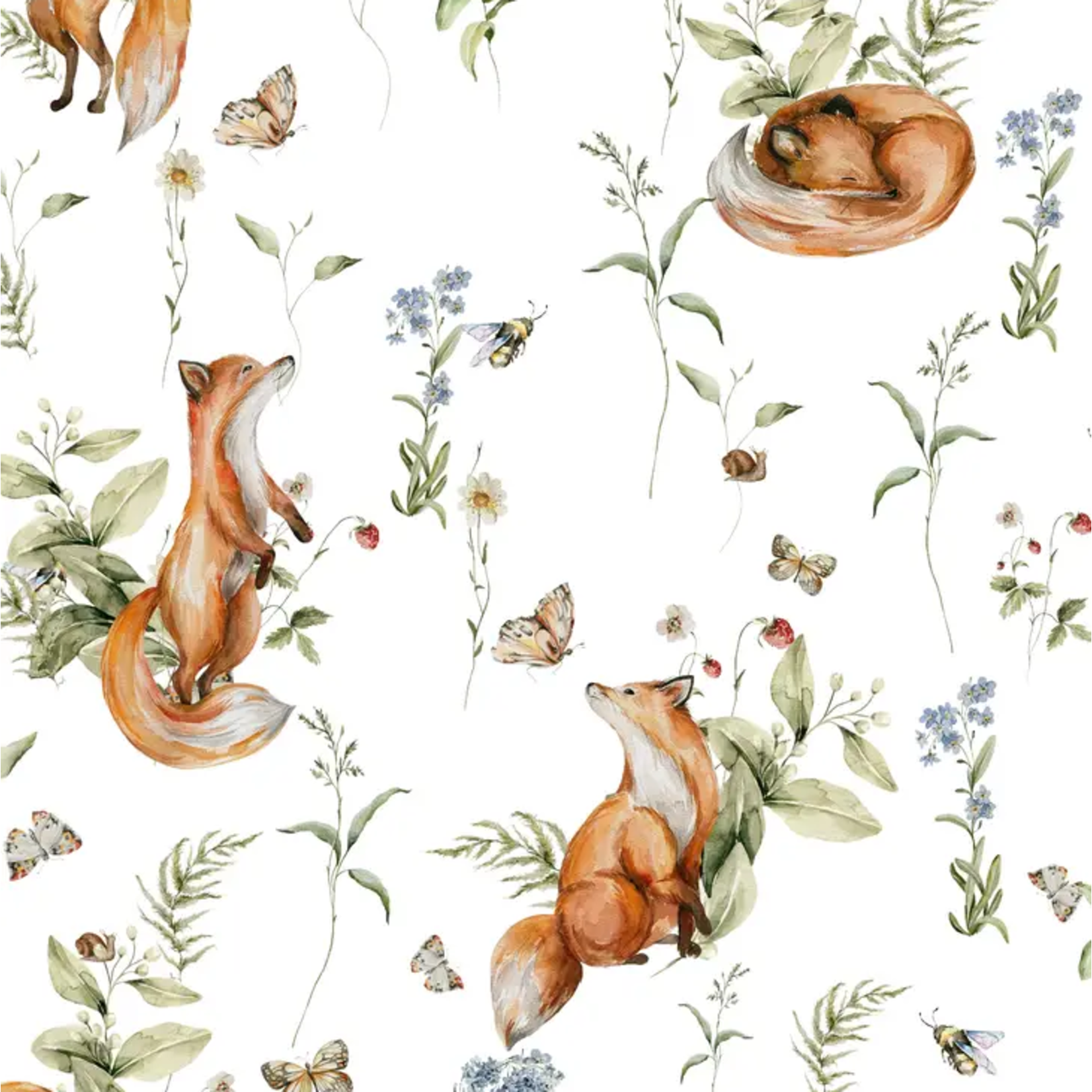Curious Fox Baby Blanket