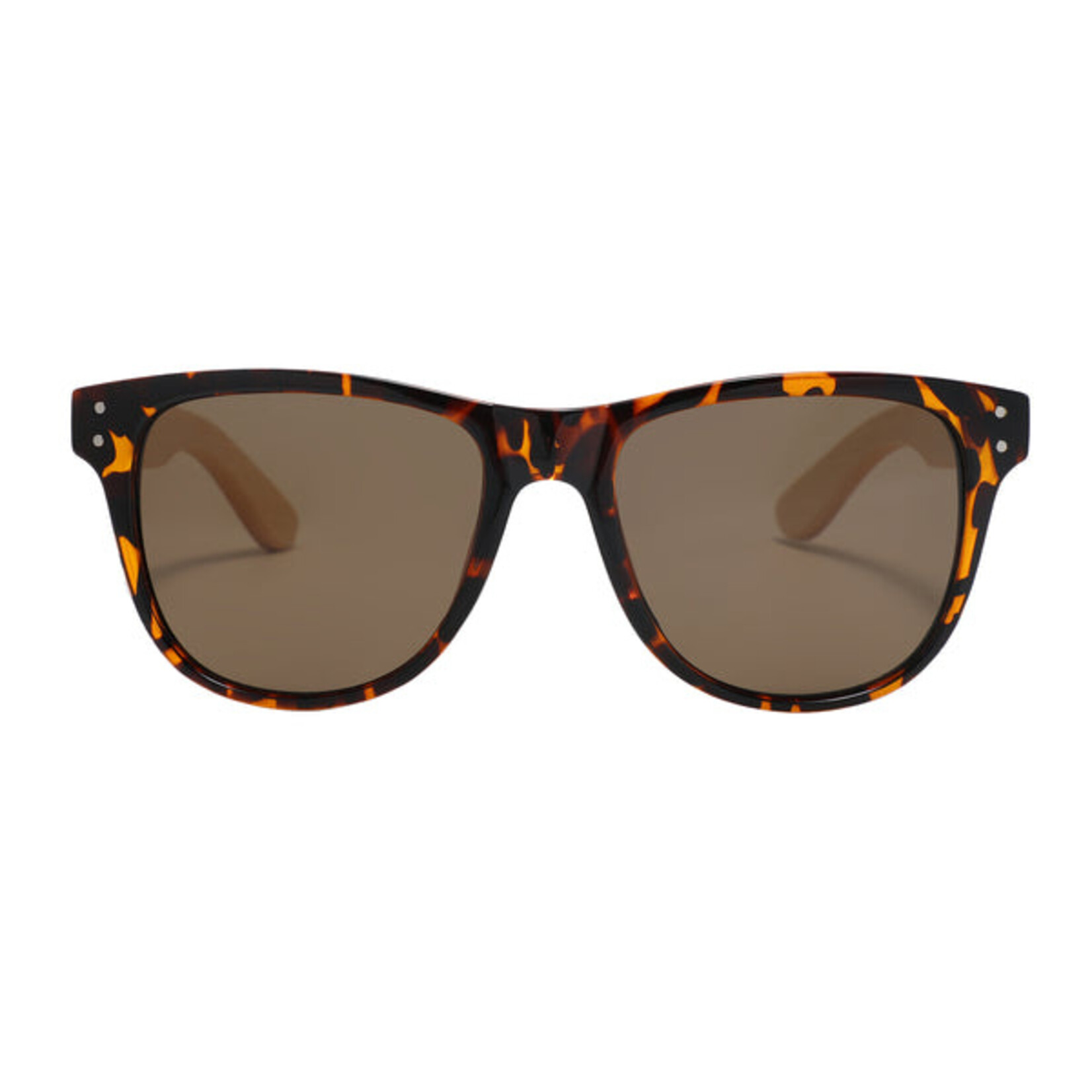 Polarized Sunglasses - Berlin - Tortoise