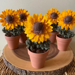 Potted Felt Sunflower - Regular