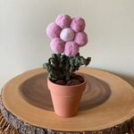 Potted Pompom Flower - Single Light Mauve
