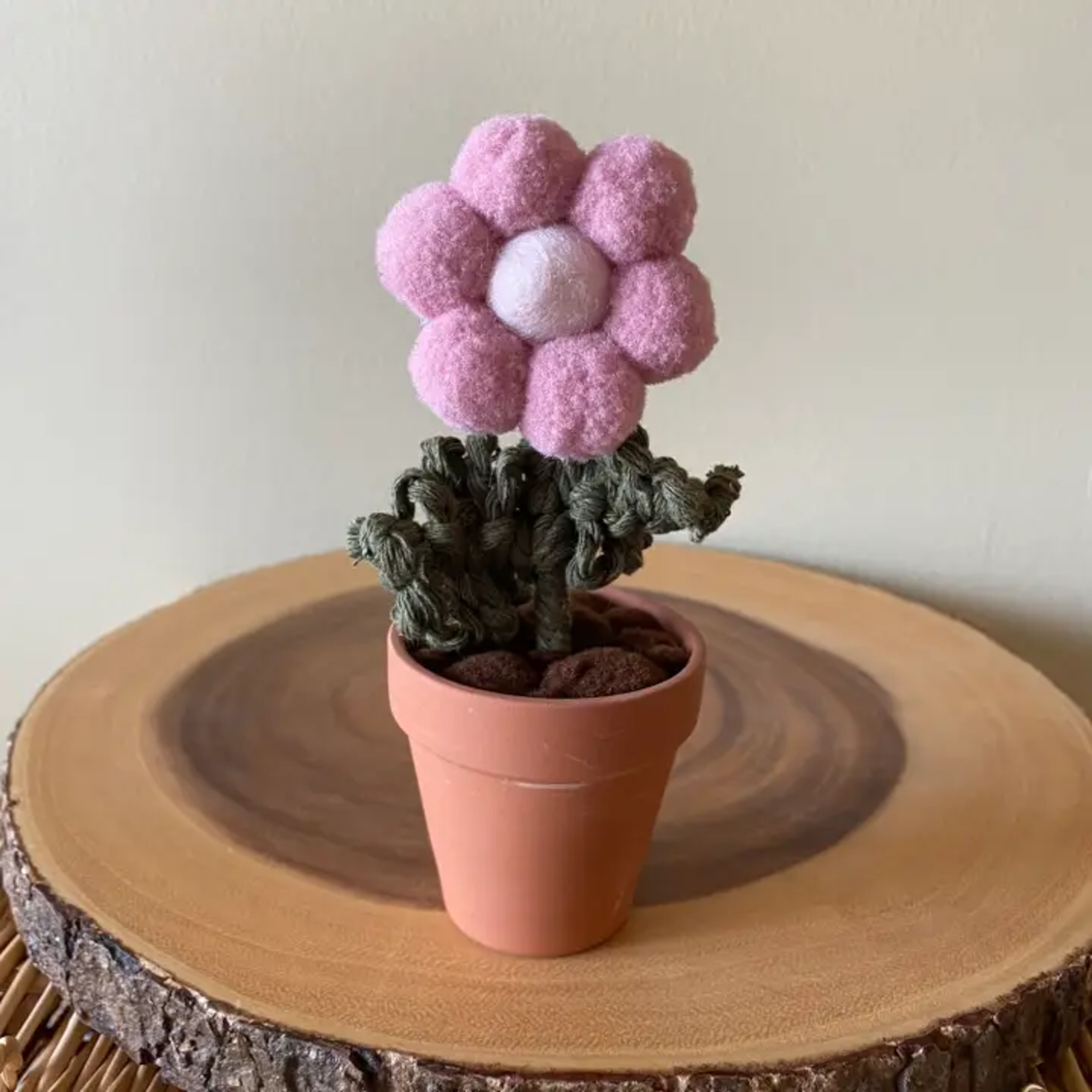 Potted Pompom Flower - Single Light Mauve