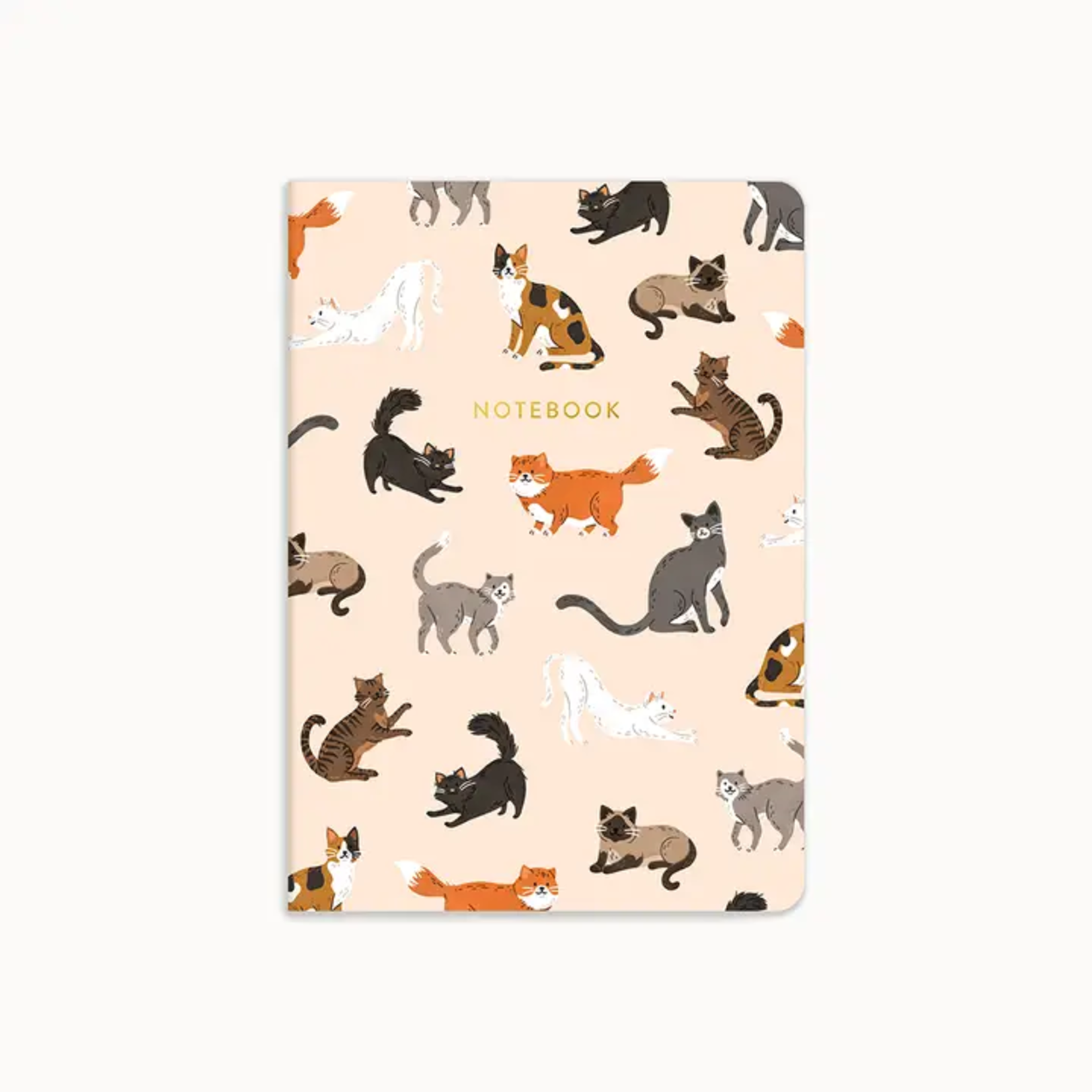 Cats Notebook