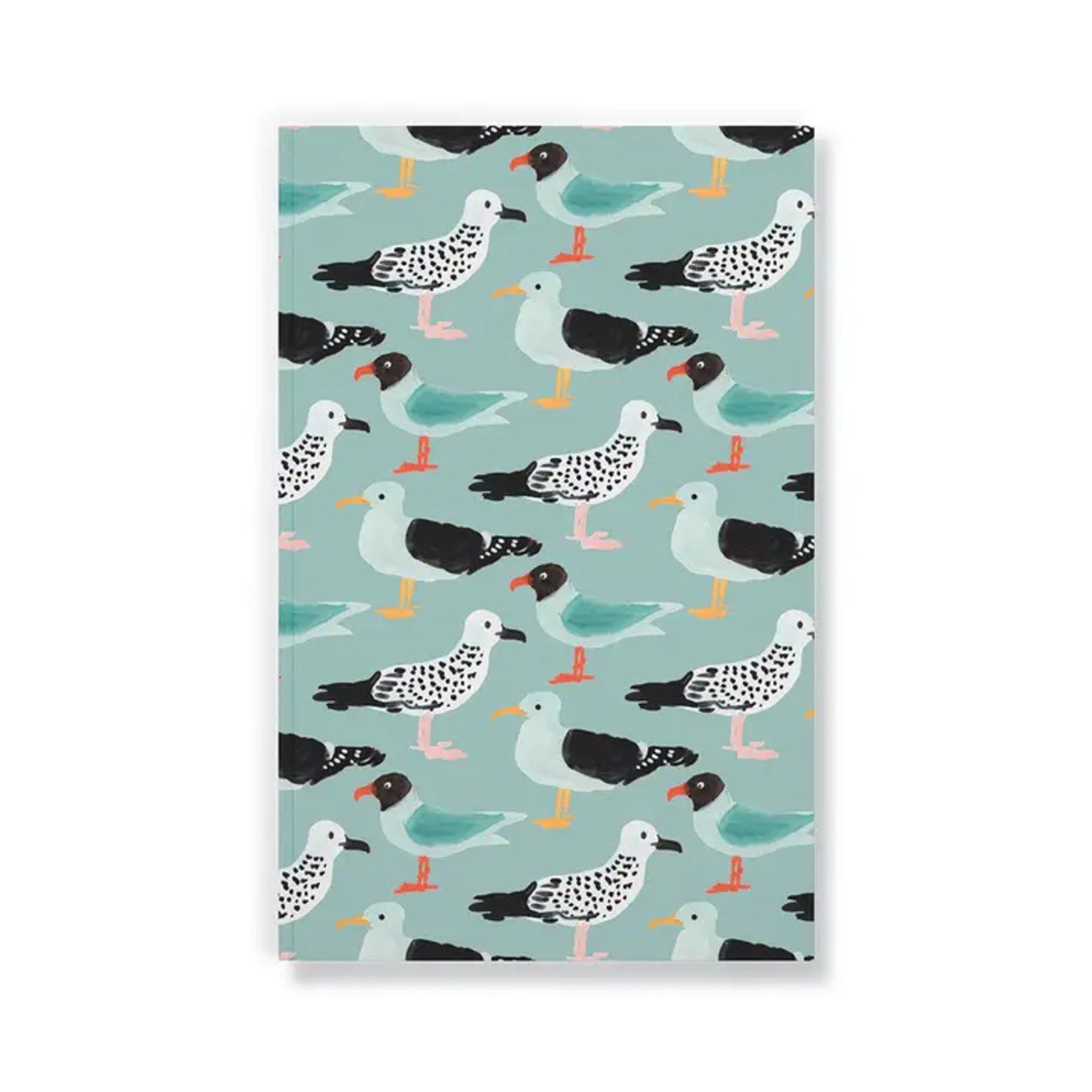 Gulls Notebook