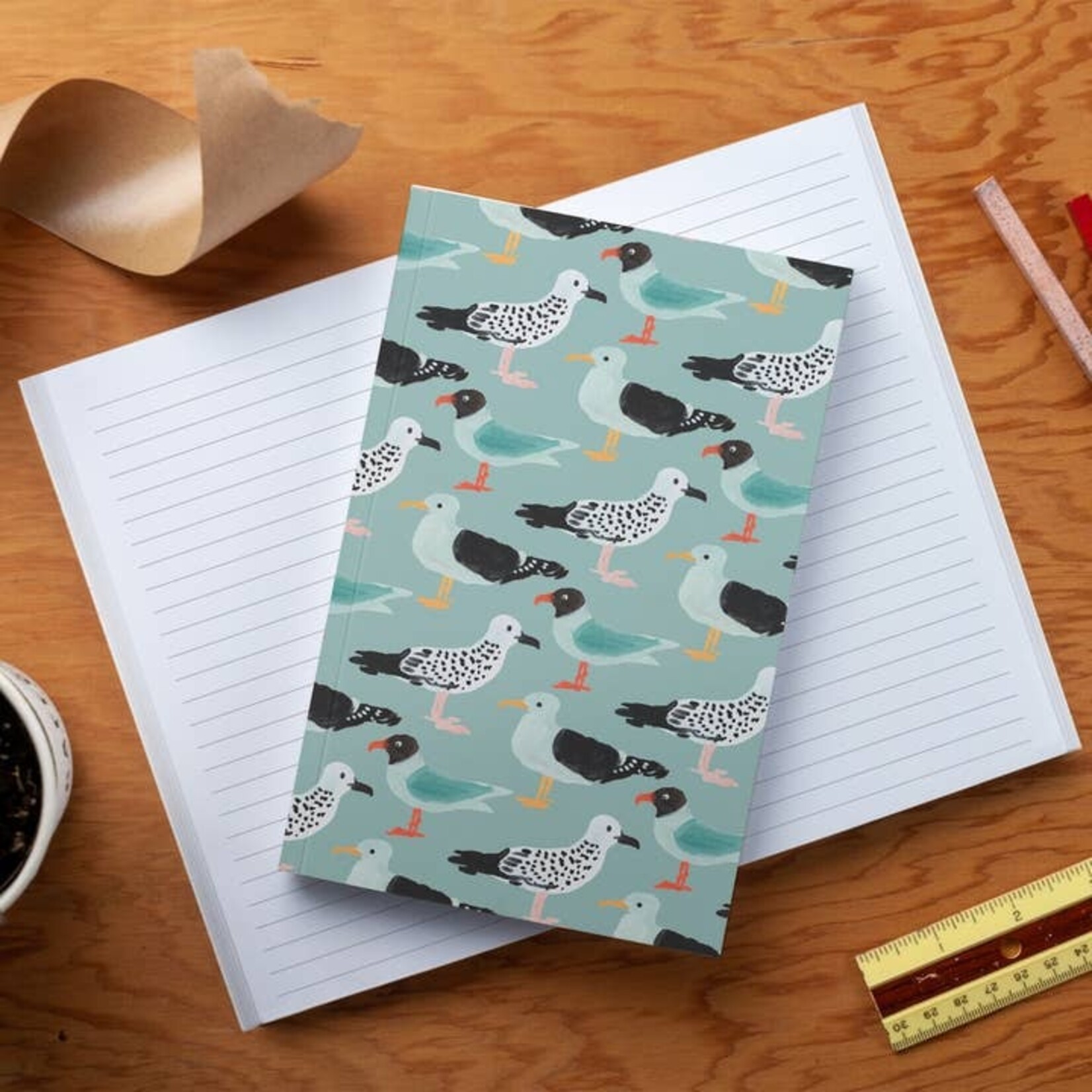 Gulls Notebook