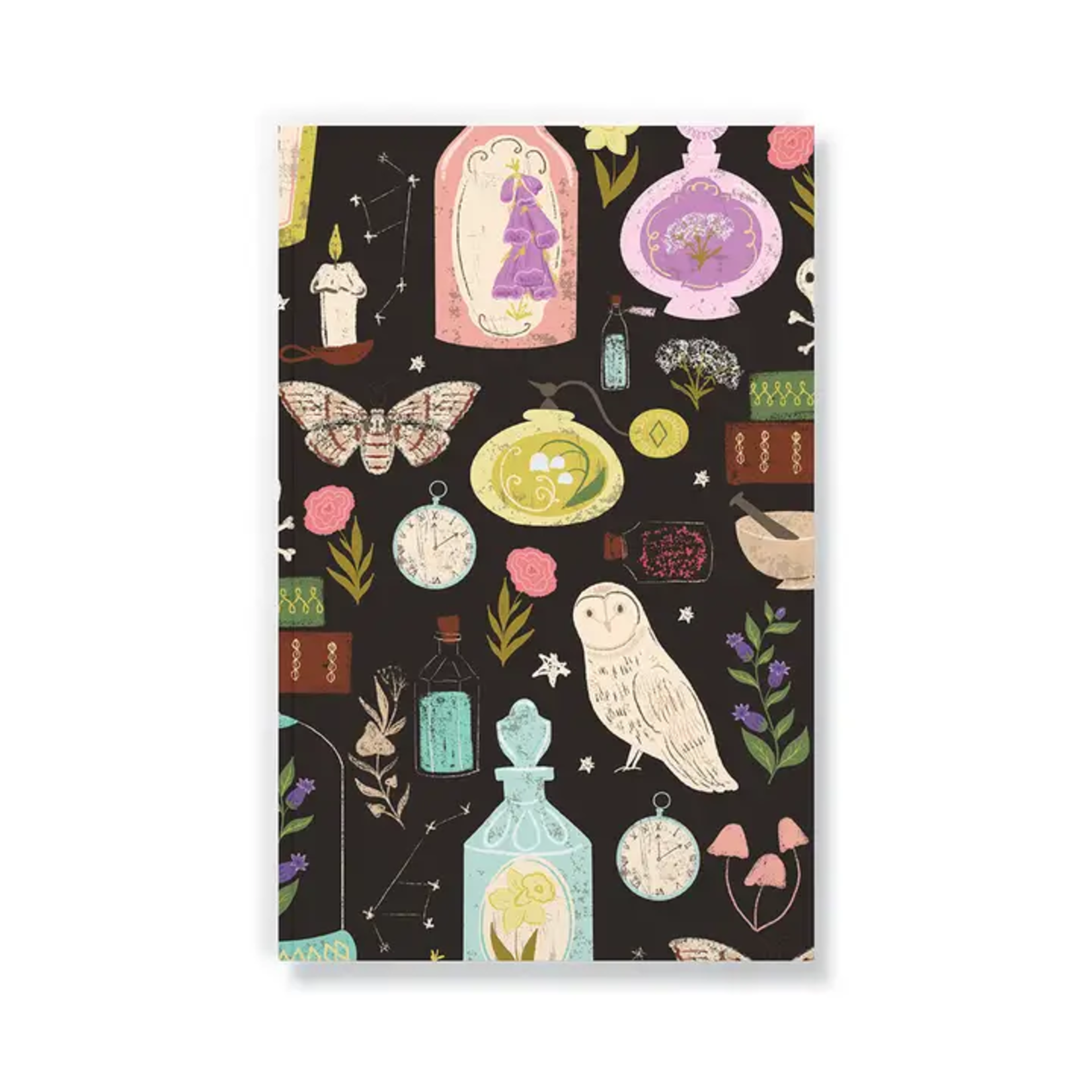 Owls & Potions Notebook