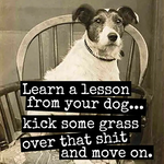 Magnet Learn A Lesson From Your Dog