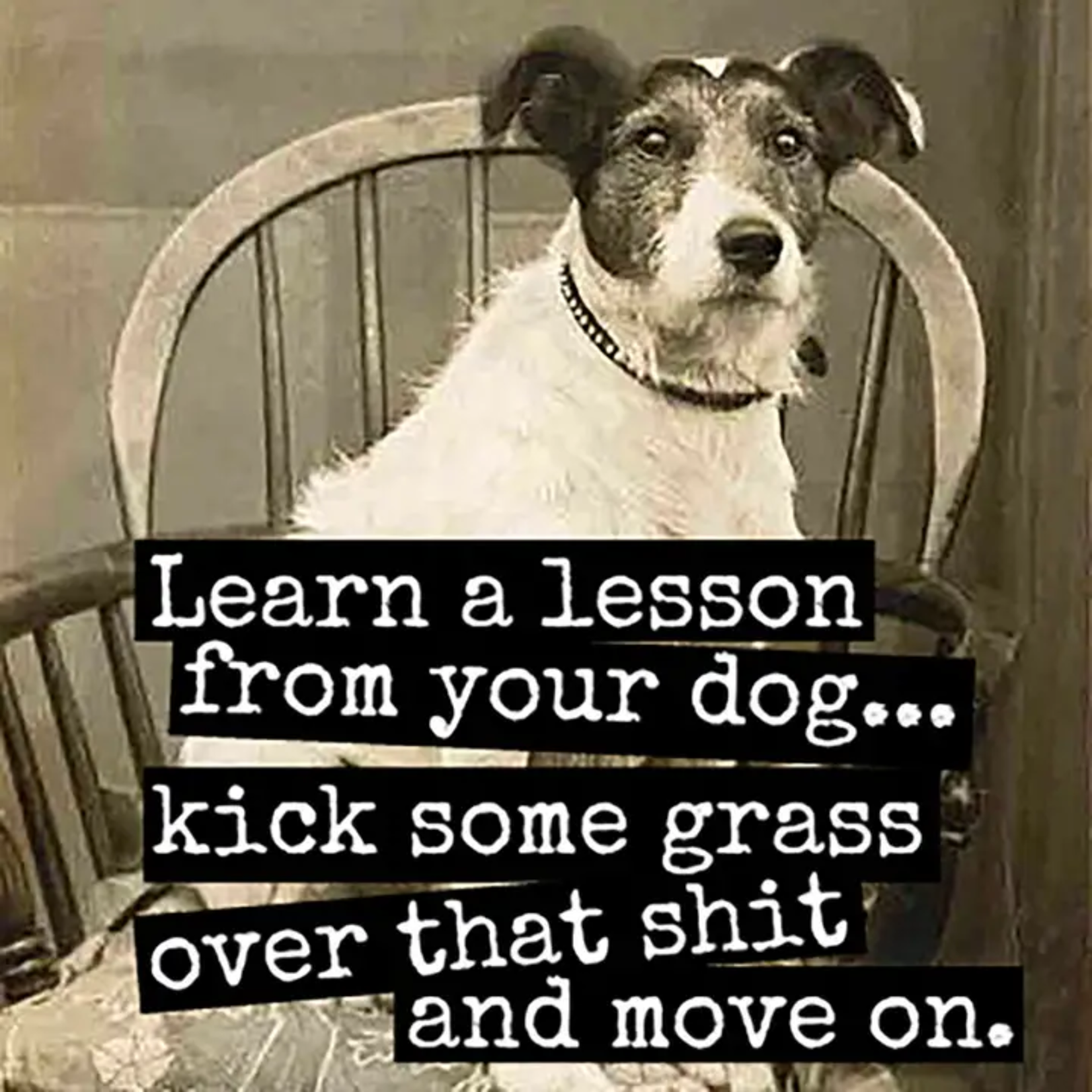 Magnet Learn A Lesson From Your Dog
