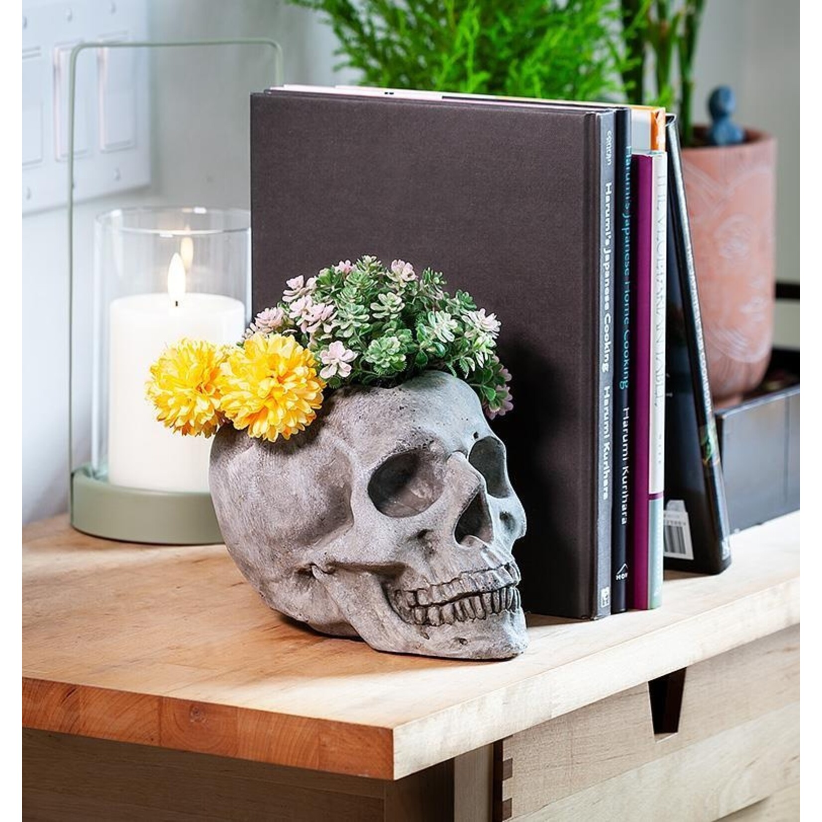 Skull Planter - Large
