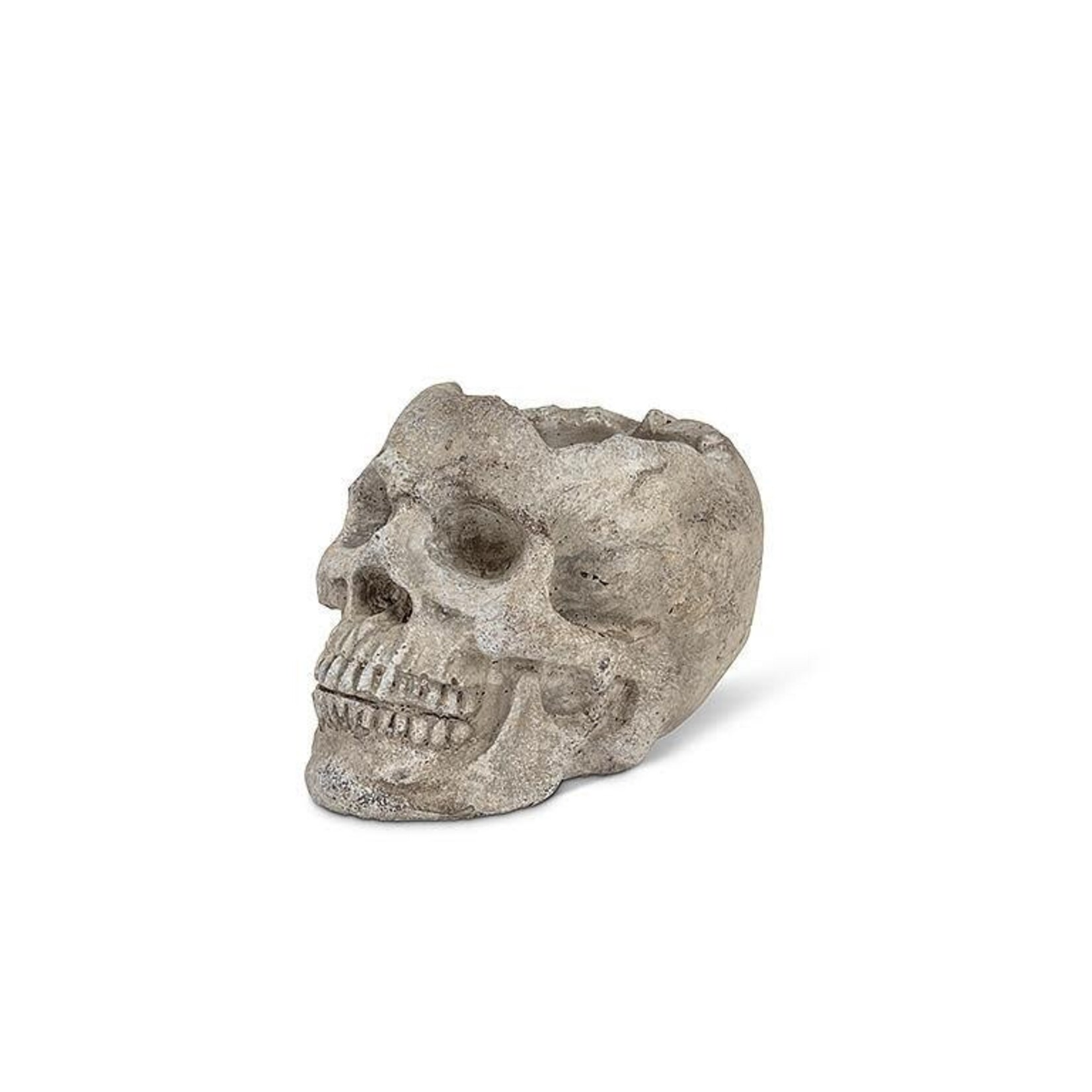 Skull Planter/TLite Holder - Small