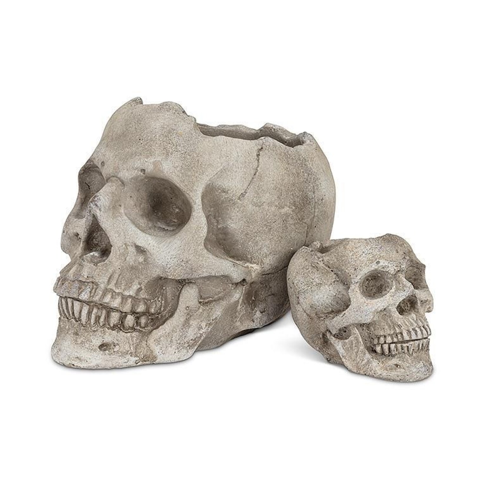 Skull Planter/TLite Holder - Small