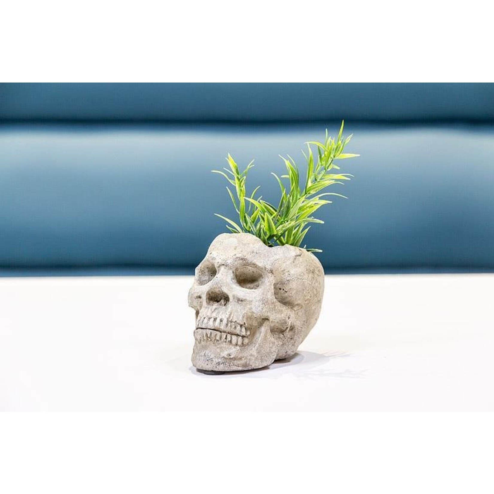 Skull Planter/TLite Holder - Small