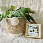 Jute Rope & White Rope Plant Pot