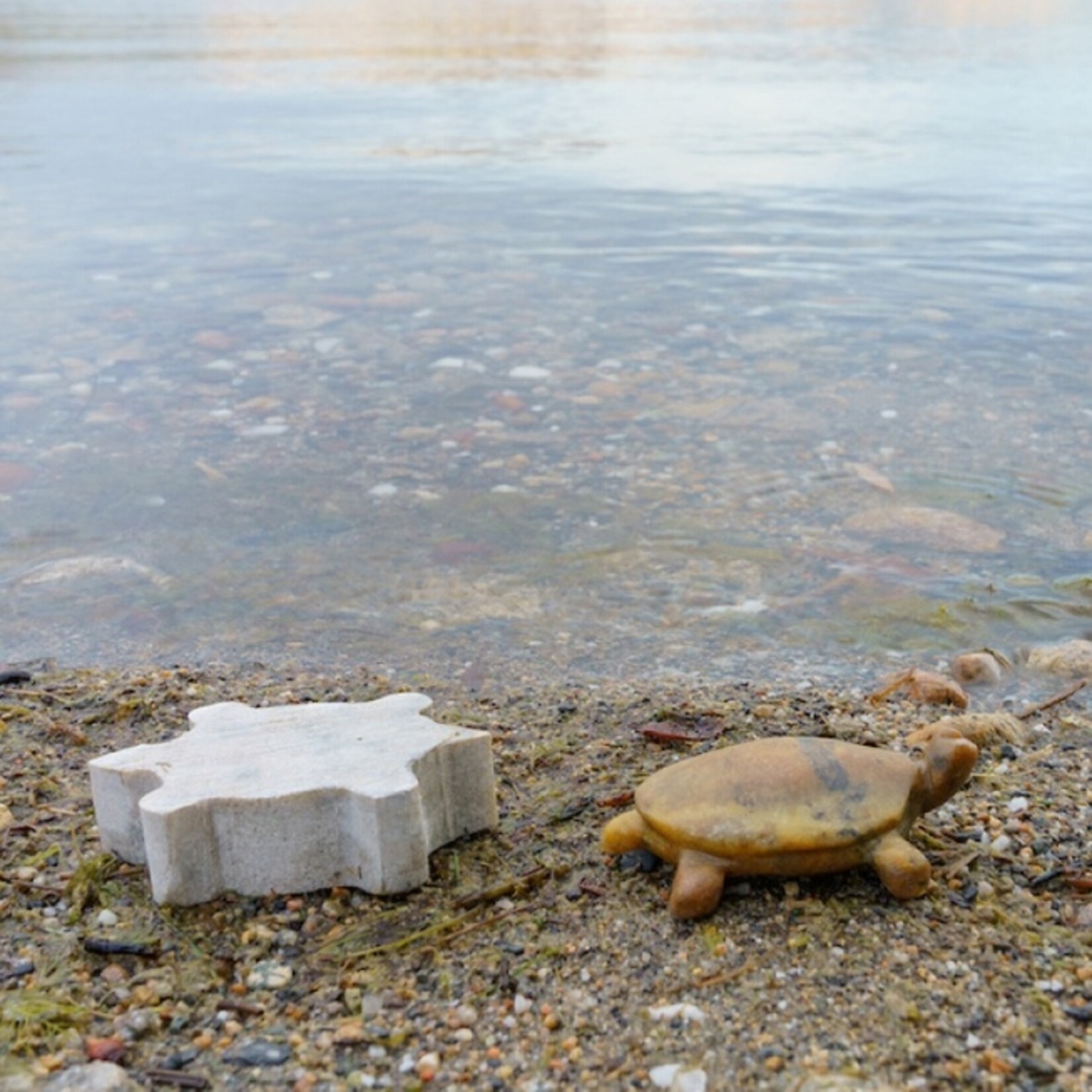 Turtle Soapstone Carving & Whittling Kit