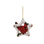 Cardinal In Birch Star Ornament