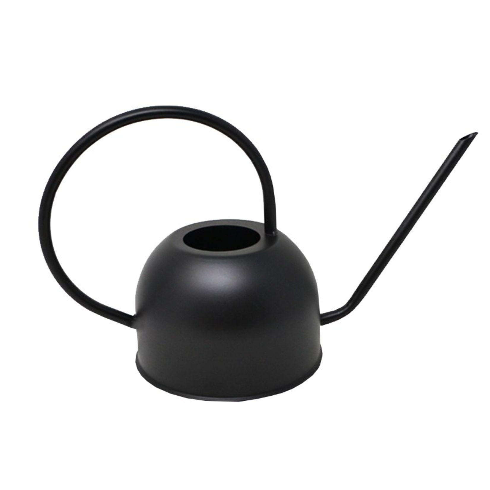 Black Watering Can