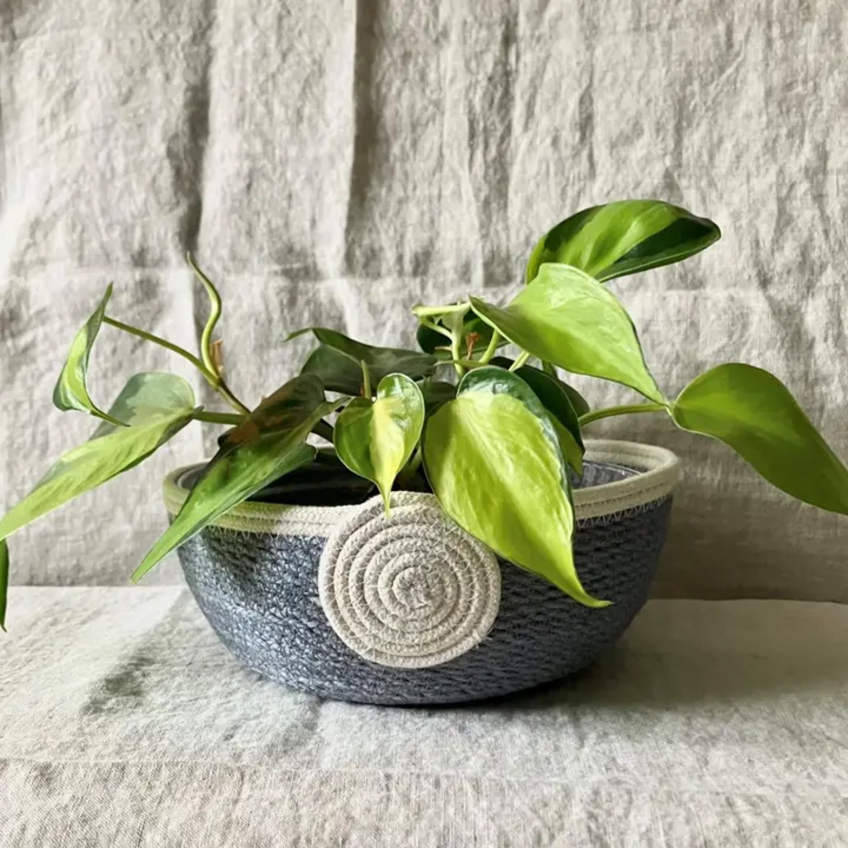 Dove Grey Jute Rope Bowl