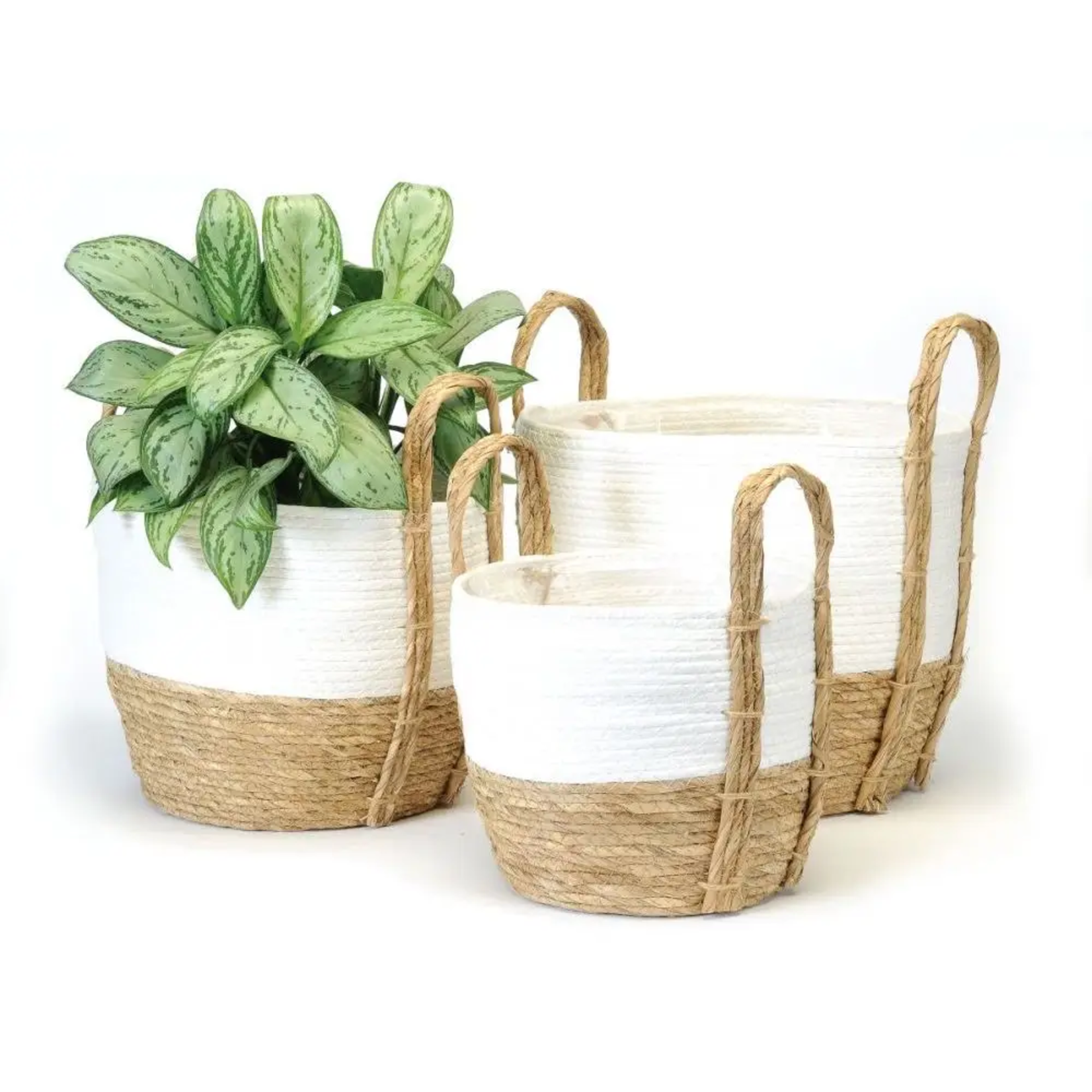 White & Natural Straw Basket