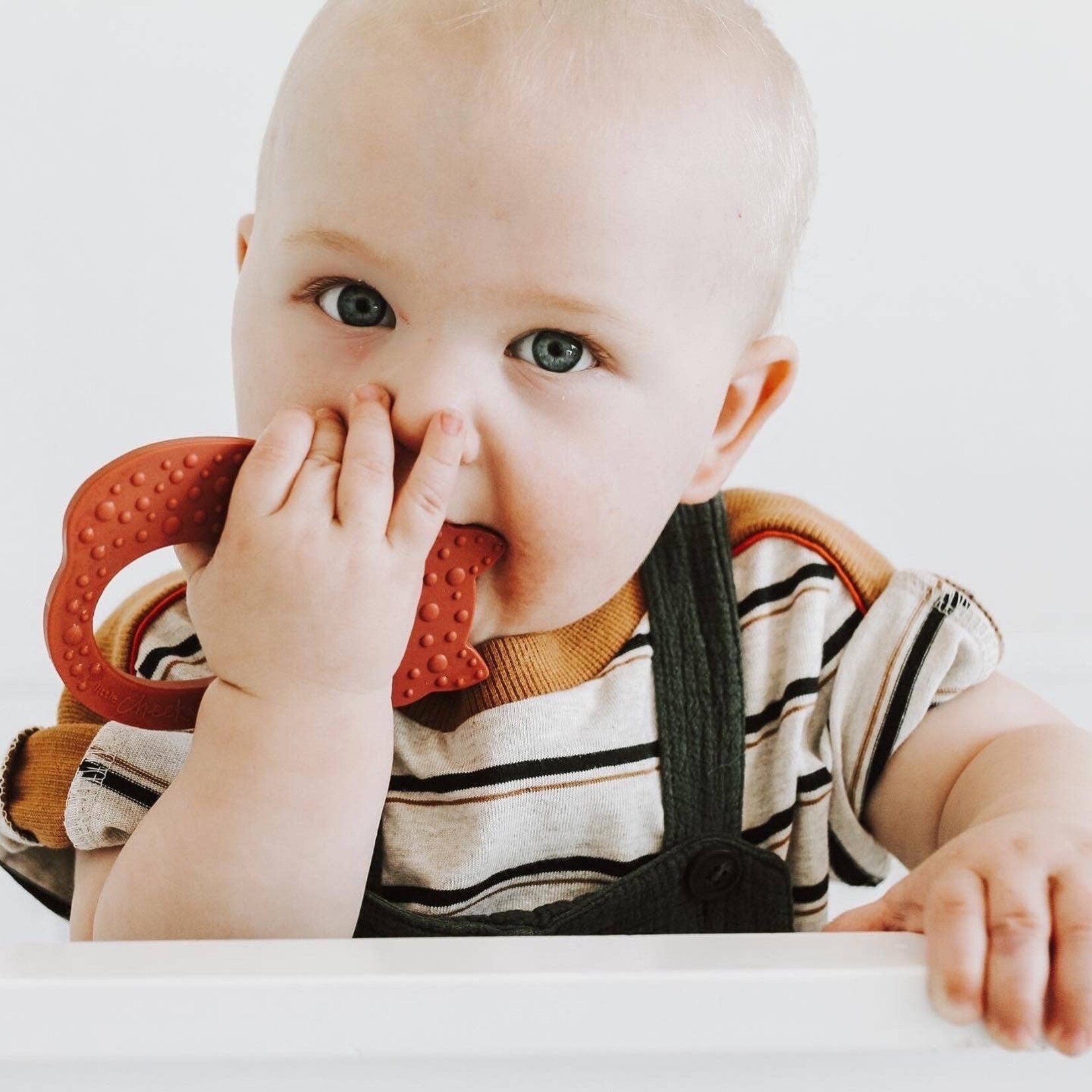Rust Fox Silicone Teether